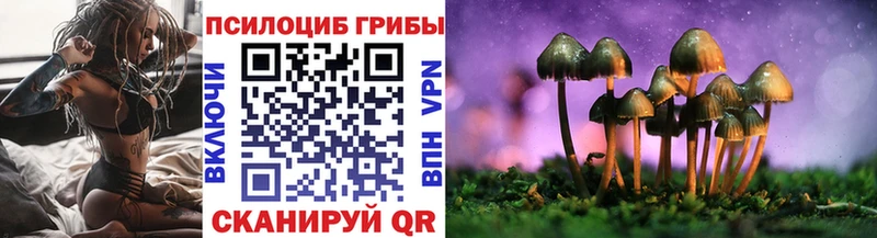 Псилоцибиновые грибы ЛСД  Купить где  Валуйки 